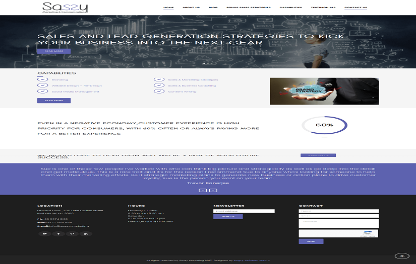 Sassy Marketing screenshot 1